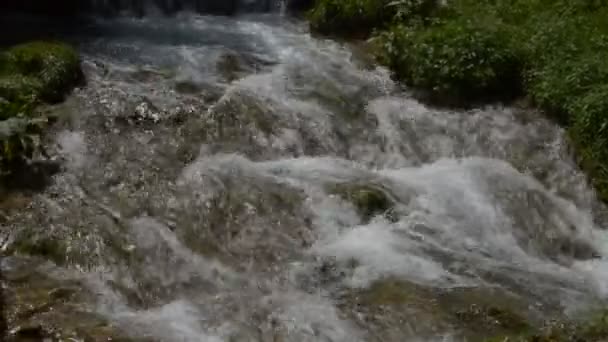 Cascades of Fast Mountain Stream — Stock Video