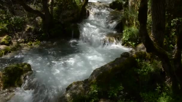 Потік Swift гірської річки створює невеликий басейн — стокове відео