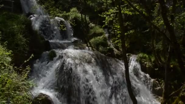 Río con caída en la montaña Zlatibor — Vídeo de stock