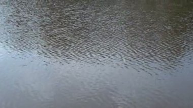 Güneşli günde gölün diğer tarafına su yüzeyinden yukarı eğimli