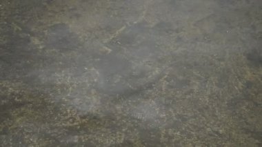 Gölün diğer tarafına su yüzeyinden yukarı eğimli