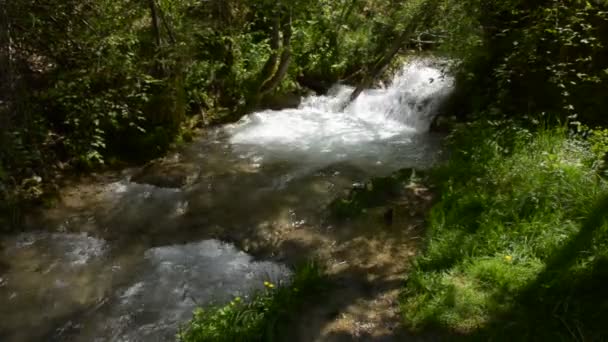 Fluss eines schnellen Gebirgsflusses mit Stromschnellen — Stockvideo