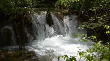 Overfall Gostilje Nehri Zlatibor Dağı'nda yakın çekim