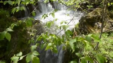 Görünümü dalları ile hızlı Nehri akış 