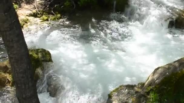 Rivière Gostilje sur la montagne Zlatibor avec cascades, cascades, chutes et rapides — Video