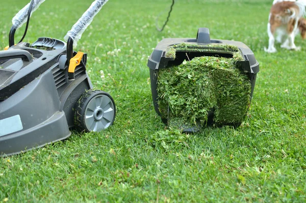 Behållare av en gräsklippare fylld med gräs — Stockfoto