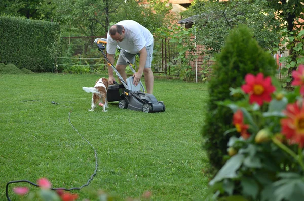 Cortador de grama e cão — Fotografia de Stock