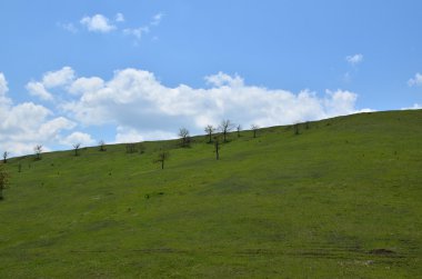 Hill, çim ve gökyüzü bulutlu