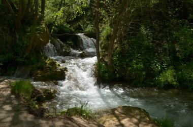 Cascades bir hızlı dağ çayı