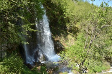 Gostilje şelale Sırbistan