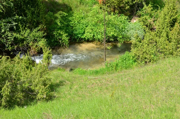 Bergbach im Frühling — Stockfoto