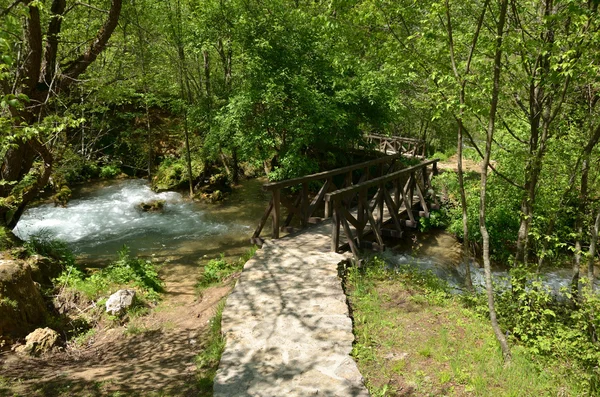 Pont piétonnier dans une forêt — Photo