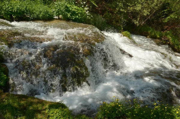 Chute d'une rivière de montagne — Photo