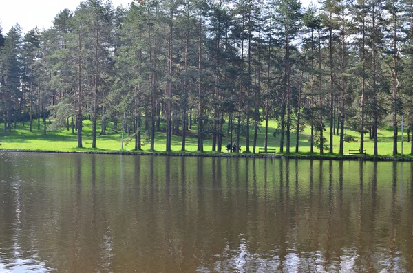 Damm på Zlatibor berg — Stockfoto