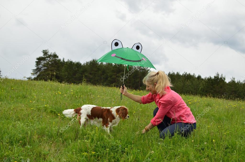 Lustige Bilder Hund Im Regen