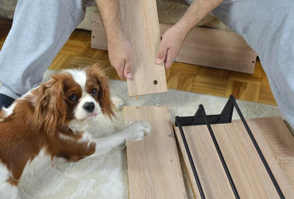 Montaż szafki i psa cenną pomoc — Zdjęcie stockowe