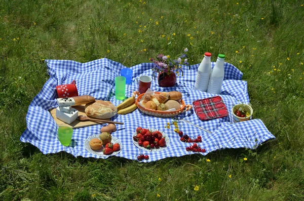 Крупним планом пікнік на луг — стокове фото