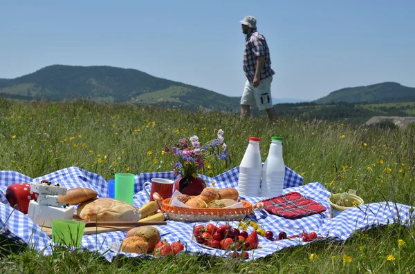 Rich Picnic and Picnicker