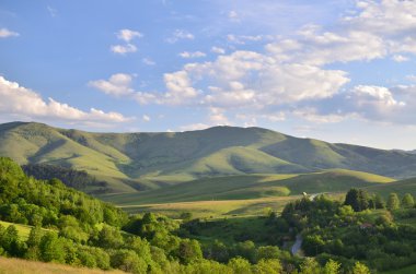 Zlatibor dağın manzara