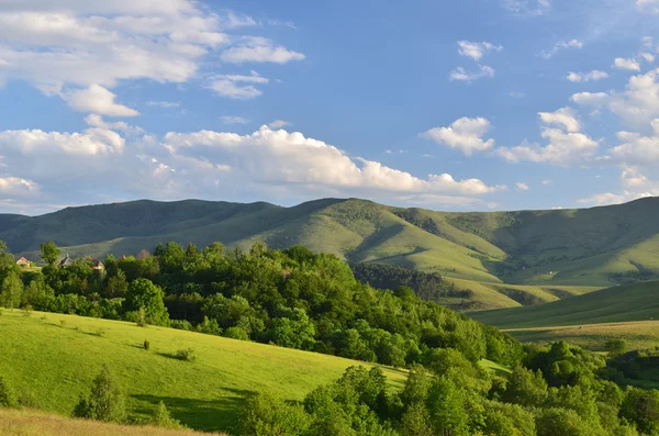 Paisaje de la montaña Zlatibor — Foto de Stock