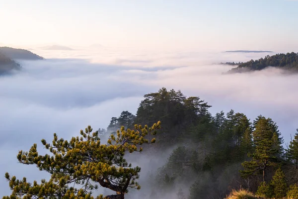 Pics Montagne Dessus Des Nuages Vus Sommet Montagne — Photo