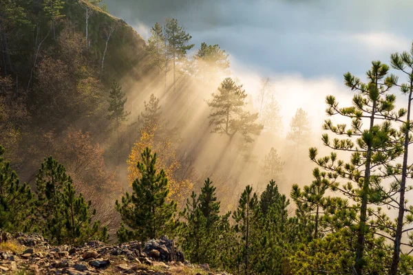 Dramatische Scène Van Zonnestralen Remmende Mist Wolken Een Bergtop — Stockfoto