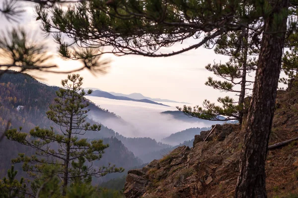 Hills Clouds Viewed Mountain Top Pine Branches — Stock Photo, Image