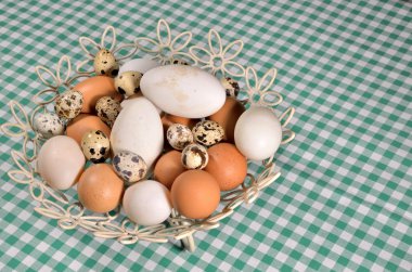 farklı yumurta