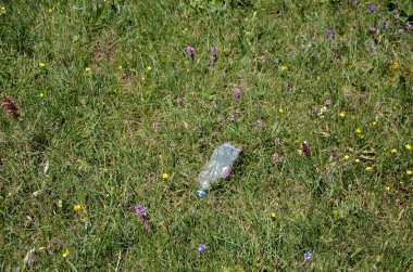 plastik şişe yeşil çayır on düştü