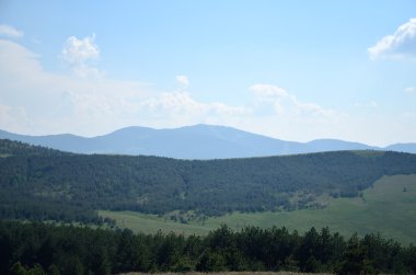 Tepeler ve çam ağaçları