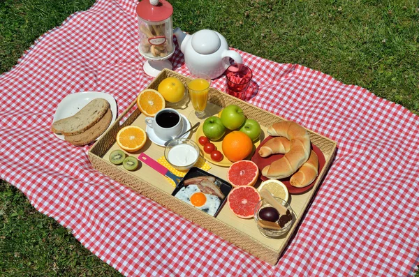 อาหารเช้าบนสนามหญ้า — ภาพถ่ายสต็อก