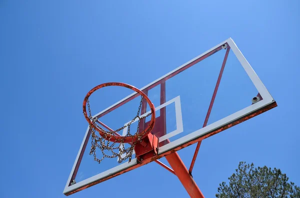 Baloncesto aro y árbol —  Fotos de Stock