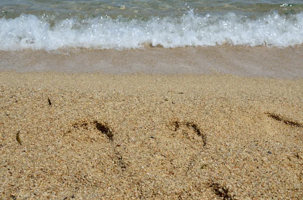 Footprints on beach — Stock Photo, Image