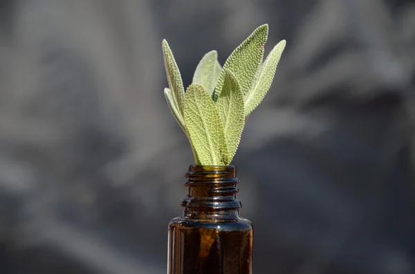 Homeopatik ilaç