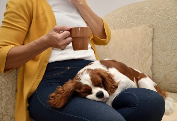 Dame und Hund — Stockfoto