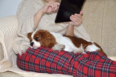Bayan Tablet ve cavalier köpek üzerinde okuma