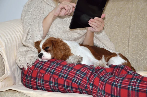 Lady leyendo en tableta y perro caballero — Foto de Stock