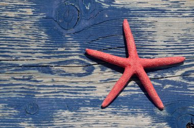 Red sea star plaj tezgah