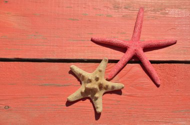 Kırmızı ve bej deniz yıldızı 
