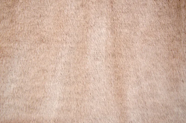 Miękkie różowe futra fałszywy — Zdjęcie stockowe