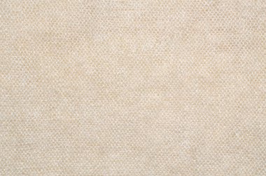 Tiftik kazak yakın çekim 