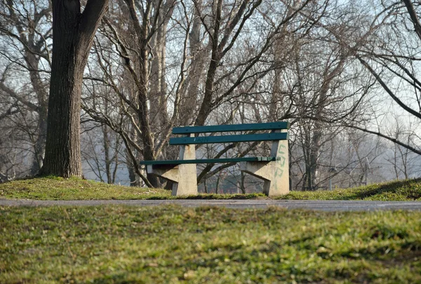 坐在公园长椅 — 图库照片