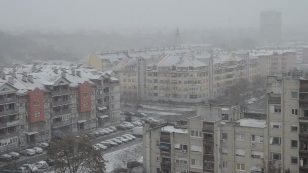 Sneeuw in de stad — Stockvideo