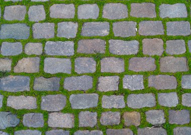 Granit kaldırım ile Filiz çimen