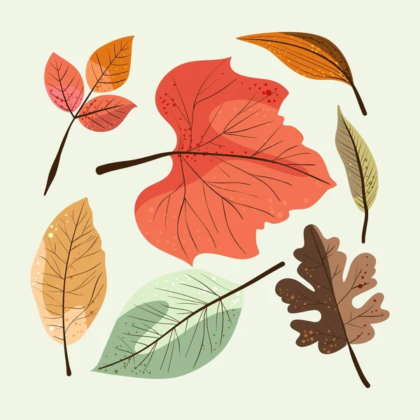 Detaillierte Herbst Blätter Sammlung Vektor Design Illustration — Stockvektor