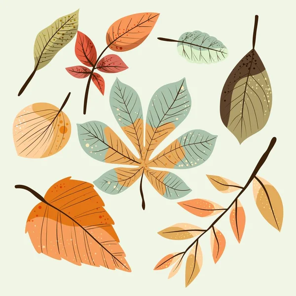 Detaillierte Herbst Blätter Sammlung Vektor Design Illustration — Stockvektor