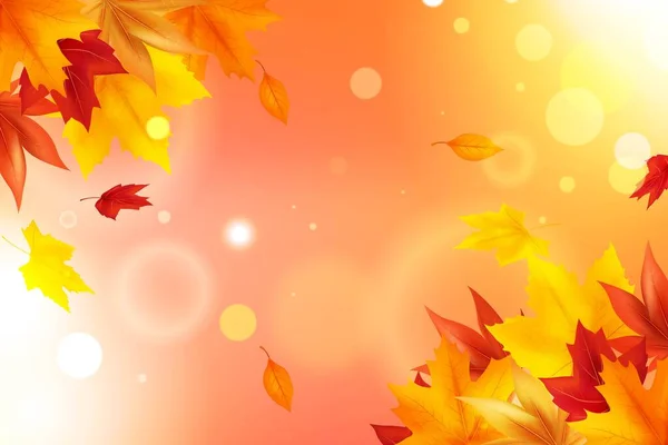 Realistic Autumn Background Vector Design Illustration — Stock Vector