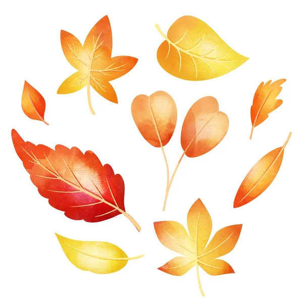 Watercolor Autumn Leaves Collection Vector Design Illustration — Stock Vector