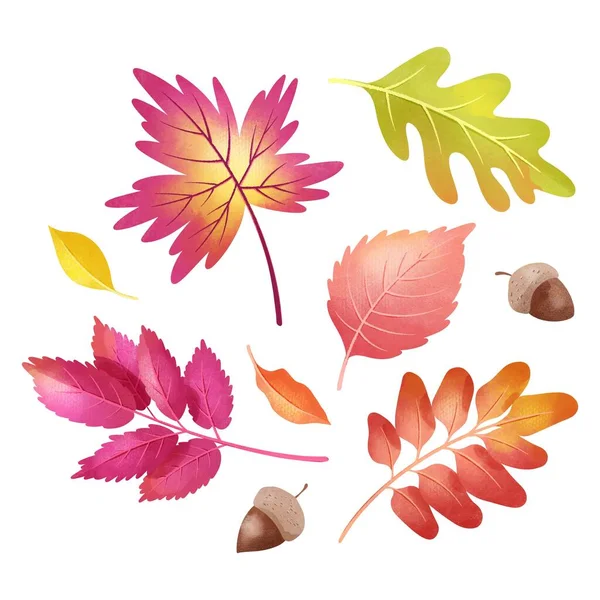 Watercolor Autumn Leaves Set Vector Design Illustration — Stock Vector