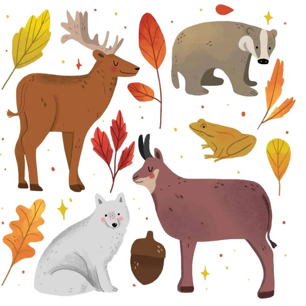 Hand Gezeichnet Herbst Wald Tiere Sammlung Vektor Design Illustration — Stockvektor